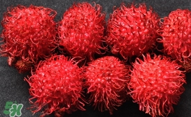 紅毛丹什么時候上市？紅毛丹什么季節有？