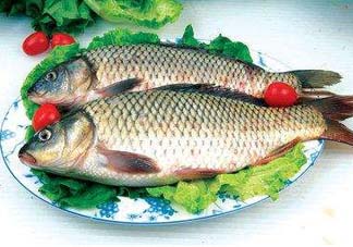 ?五月份吃什么魚？5月份吃什么魚？