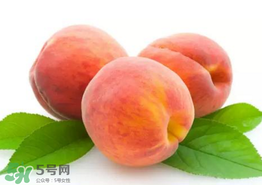 桃子為什么不能和西瓜一起吃？桃子和西瓜為什么不能一起吃？