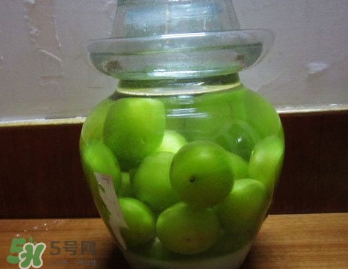 三華李可以泡酒嗎？三華李可以多吃嗎？