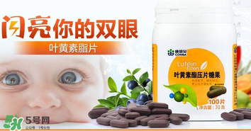 葉黃素真的有作用嗎？葉黃素的臨床試驗證明有用！