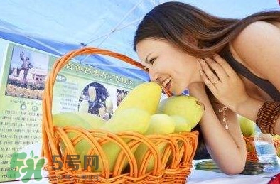 生理期可以吃芒果嗎？女性經期可不可以吃芒果