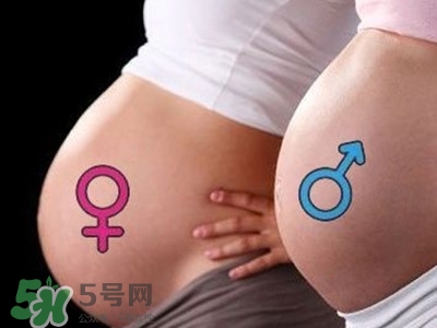 B超單數(shù)據(jù)怎么看男女？B超單看男女準(zhǔn)嗎？