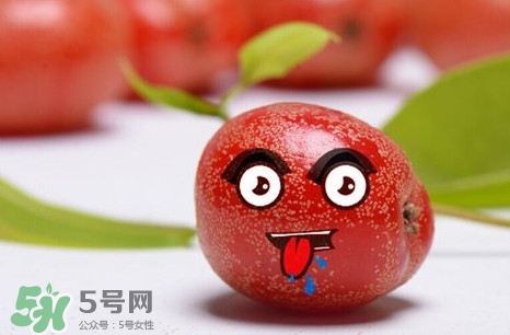 羊奶子有什么藥用價值？羊奶子有什么功效