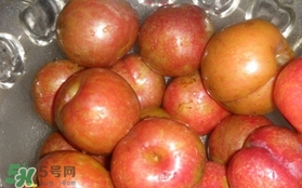 三華李可以泡酒嗎？三華李可以多吃嗎？