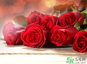 母親節送什么顏色的玫瑰花？母親節送幾朵玫瑰花？