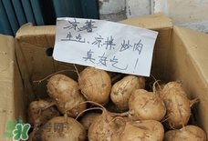 涼薯怎么做好吃？涼薯怎么炒好吃