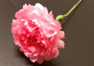 母親節(jié)可以送紙做的康乃馨嗎？康乃馨怎么折？