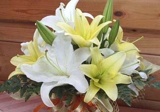 百合花多少錢一支2017？百合花多少錢一束2017？