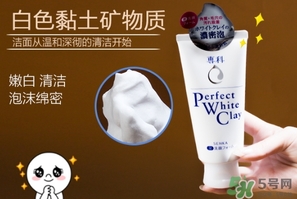 資生堂洗顏專(zhuān)科洗面奶白色怎么樣？資生堂白泥洗面奶好用嗎？