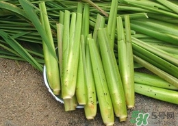 茭白能放冰箱嗎？茭白可以放冰箱多久
