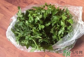 菊花腦怎么做好吃？菊花腦怎么做有營養