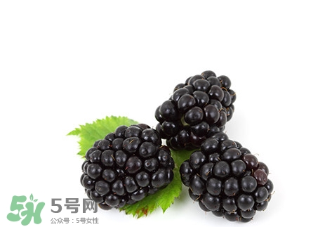 覆盆子的熱量高嗎？覆盆子可以減肥嗎？
