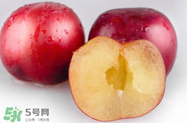 李子可以和西紅柿一起吃嗎？西紅柿和李子能同吃？
