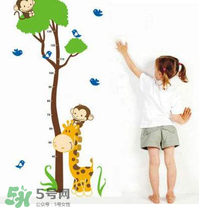 給孩子補(bǔ)鈣可以長高嗎？身高跟補(bǔ)鈣有沒有直接關(guān)系？