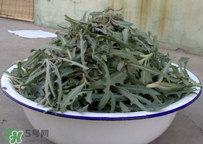 苦苦菜怎么腌制？怎樣腌制苦苦菜？