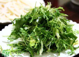 苦菜要焯水嗎？焯苦菜的水能喝嗎？