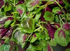 漢菜是發物嗎?漢菜是不是發物?