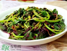 漢菜是發物嗎?漢菜是不是發物?
