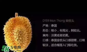 金枕頭和貓山王哪個好？金枕頭和貓山王的區別