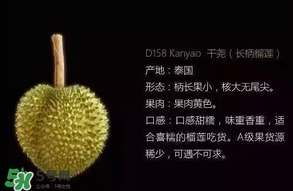 金枕頭和貓山王哪個好？金枕頭和貓山王的區別