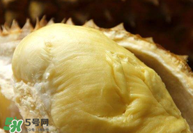 金枕頭榴蓮幾月份上市？金枕頭榴蓮什么時(shí)候上市？