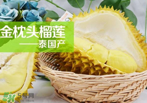 金枕頭榴蓮怎么才算熟？金枕頭榴蓮怎么催熟？