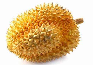 金枕頭和貓山王哪個(gè)好？金枕頭和貓山王的區(qū)別