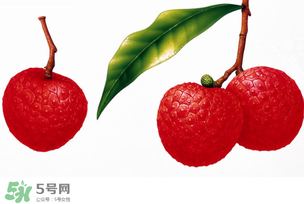 拉肚子能吃荔枝嗎 ？拉肚子可以吃荔枝嗎 ？