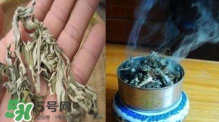 艾葉可以驅蚊子嗎？艾葉能驅蚊子嗎