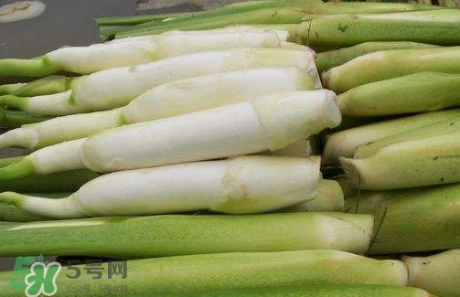 茭白多少錢一斤 茭白的營養(yǎng)價(jià)值