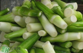 茭白是發物嗎？茭白是不是發物