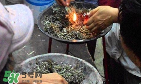 艾葉可以驅蚊子嗎？艾葉能驅蚊子嗎
