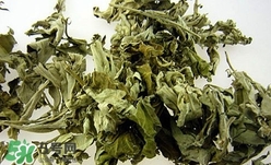 艾葉可以驅蚊子嗎？艾葉能驅蚊子嗎