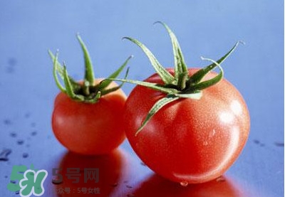 西紅柿能和黃瓜一起吃嗎？黃瓜可以和西紅柿一起吃嗎？
