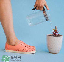 native鞋中文名稱是什么？native鞋中文怎么翻譯？