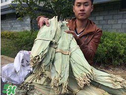 干粽葉怎么煮？干粽葉煮多久？
