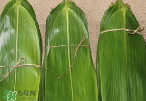 干粽葉要煮嗎？干粽葉到底是泡好還是煮好？