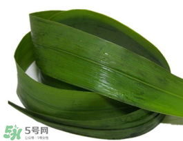 粽葉有幾種？粽葉哪種好？