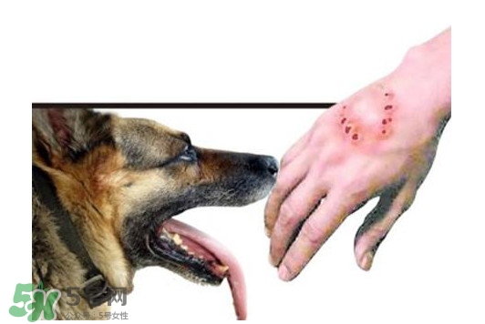 狂犬病會傳染嗎？狂犬病會學狗叫嗎