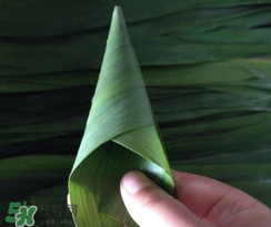 粽子葉能冷凍嗎？粽子葉放冰箱冷藏還是冷凍？