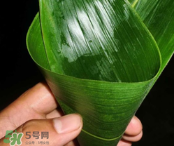 粽子葉能冷凍嗎？粽子葉放冰箱冷藏還是冷凍？