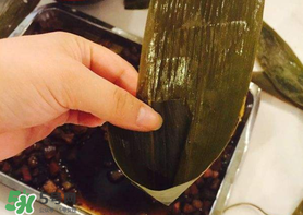 粽子葉怎么煮？煮粽葉的步驟