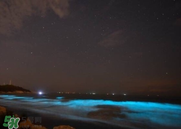 浙江多地驚現藍眼淚現象 藍眼淚是什么？