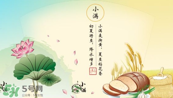 節(jié)氣小滿大滿是什么意思？24節(jié)氣為什么沒有大滿