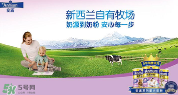 安滿滿睿幼兒配方奶粉怎么樣？安滿滿睿奶粉怎么沖？