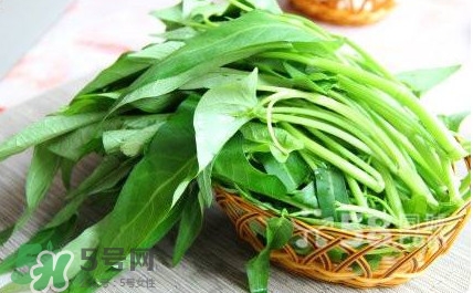 空心菜有毒嗎？空心菜需要焯水嗎？