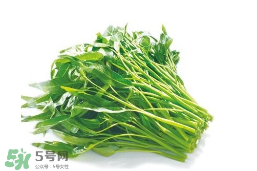 空心菜有毒嗎？空心菜需要焯水嗎？