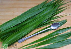 粽葉是蘆葦葉嗎？粽葉和蘆葦葉的區別