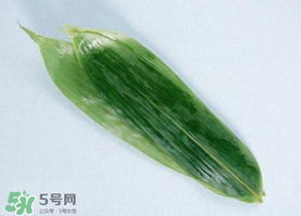 箬葉可以包粽子嗎？箬葉怎么包粽子？
